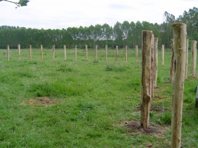vangkraal14.jpg