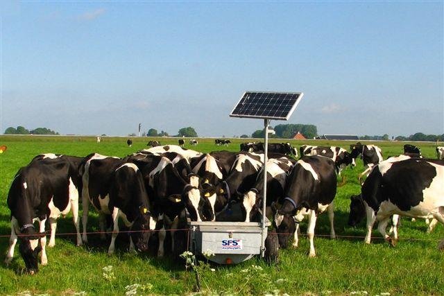 veedrinkinstallatieopzonneenergie24.jpg