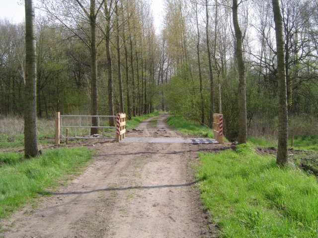 veerooster.jpg