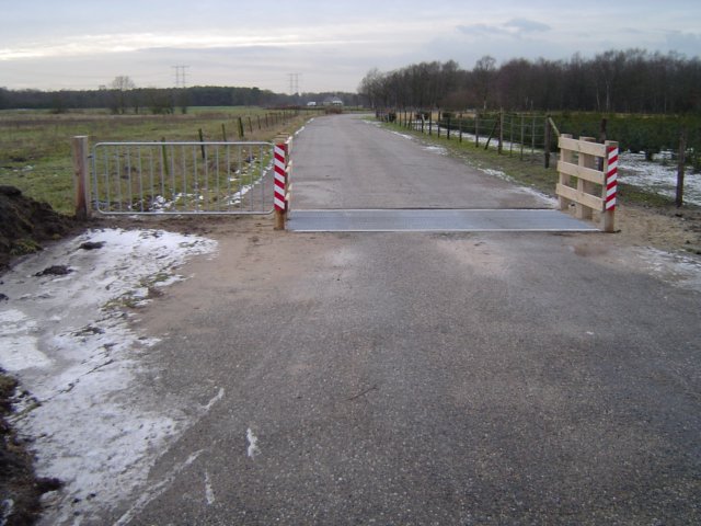 veerooster12.jpg