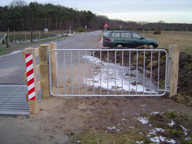 veerooster14.jpg