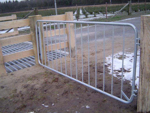 veerooster20.jpg