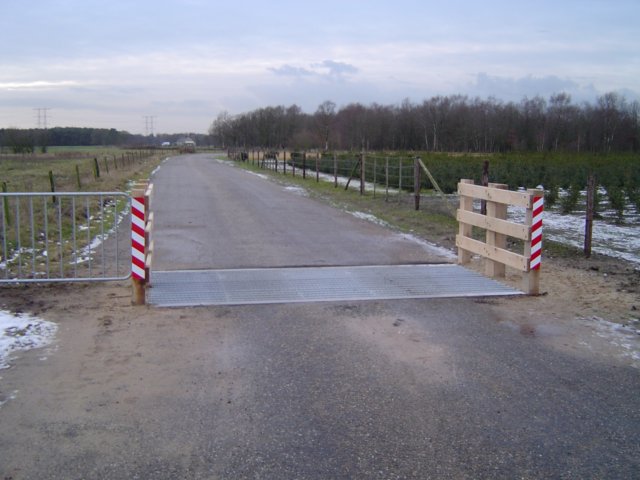 veerooster22.jpg