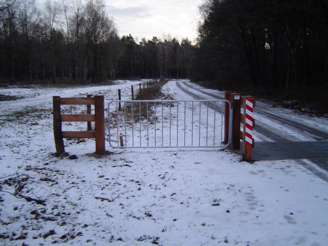 veerooster3.jpg