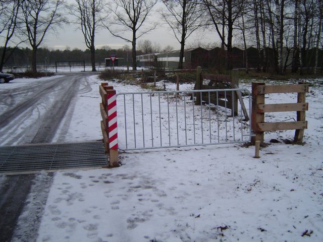 veerooster6.jpg